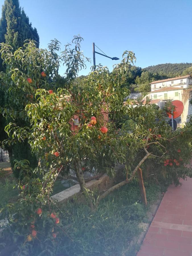 קסטלנובו די ואל די צ'צ'ינה La Vecchia Locanda מראה חיצוני תמונה